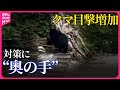 【クマ】目撃増加 対策に“奥の手” 住宅地にも出没