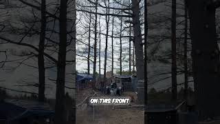 Tree Removal After Ice Storm: 20 Dead Trees Down! #shorts