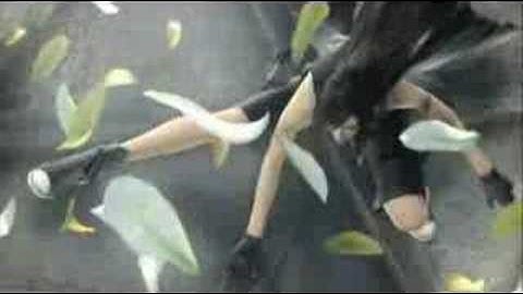 Final Fantasy VII Advent Children - In The End