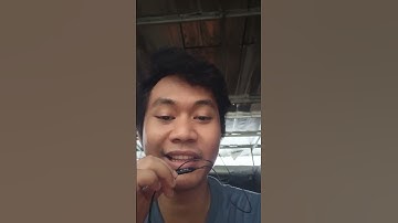 Bedanya React Native dan Flutter