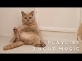 [ Playlist ] リラックスタイムに聴きたい音楽（二時間）｜Music to relax, study, work, coffee, read