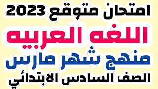 امتحان متوقع لغه عربية الصف السادس منهج شهر مارس الترم الثانى | مراجعه نهائية عربي ساته ابتدائى 2023