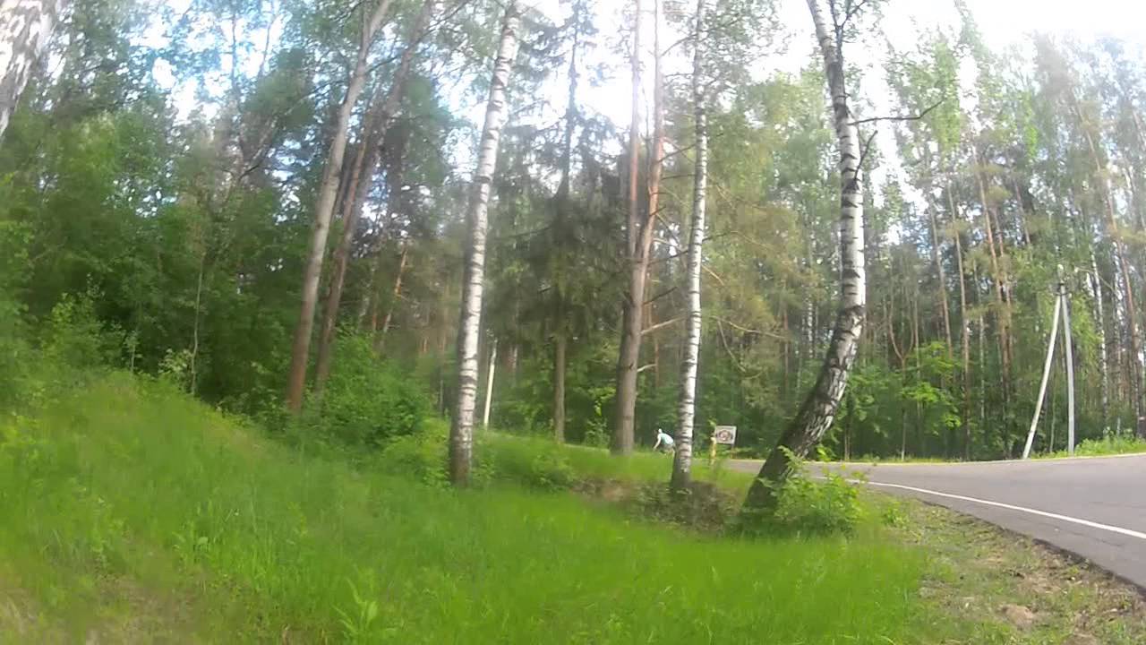 Северный лес дмитров