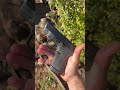 S & W Shield Plus #edc #firearmsafety #outdoors