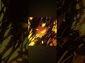 new  #phonk  song