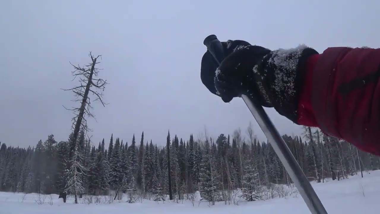 Тропежка и чудесная лыжня (07.03.26)