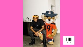 (free) JPEGMAFIA X DANNY BROWN TYPE BEAT "BEAR"