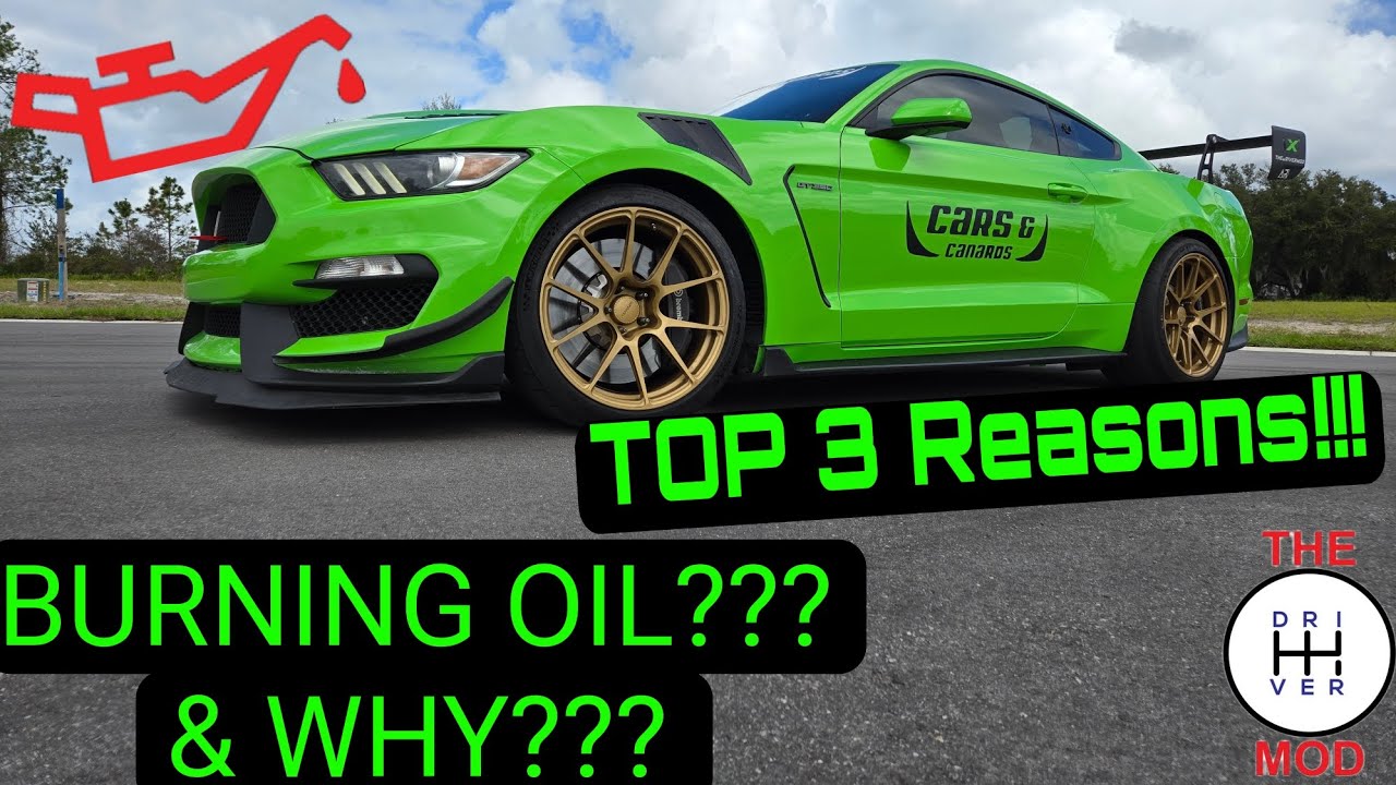 GT350 Oil Consumption Causes // WHY does your GT350 consume oil? HOW to PREVENT Oil consumption!