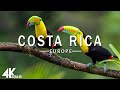 FLYING OVER COSTA RICA (4K UHD) - Relaxing Music Along With Beautiful Nature Videos - 4K Video HD