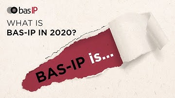 BAS-IP: What do we offer?