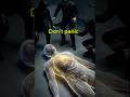 Don’t Panic When Someone Faints… Do This Instead 😳