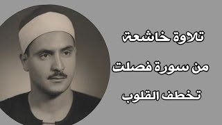 ان الذين قالوا ربنا الله ثم استقاموا (الشيخ محمد صديق المنشاوي)