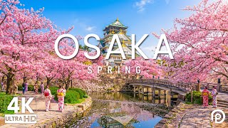 Osaka in Spring 4K - Relaxing Music With Beautiful Natural Landscape - 4K Video UHD screenshot 4