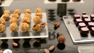 Pastry Concept® Corso Scientifico Cioccolato