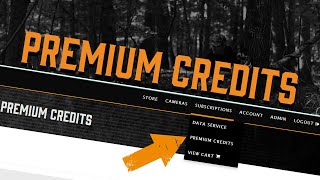 Buying and Using Premium Credits
