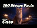 The Most Relaxing Facts About Cats to Fall Asleep To