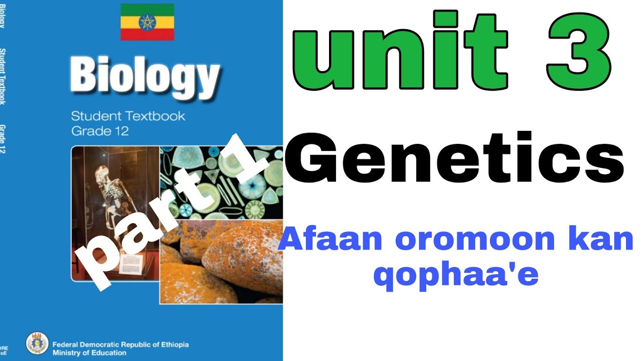 biology grade 12 unit 3 Genetics - YouTube