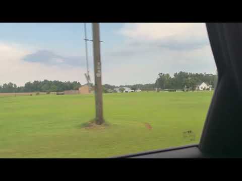 passing by tobacco plantation
