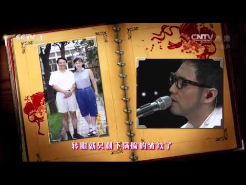 2014央視春晚歌曲《時間都去哪兒了》王錚亮