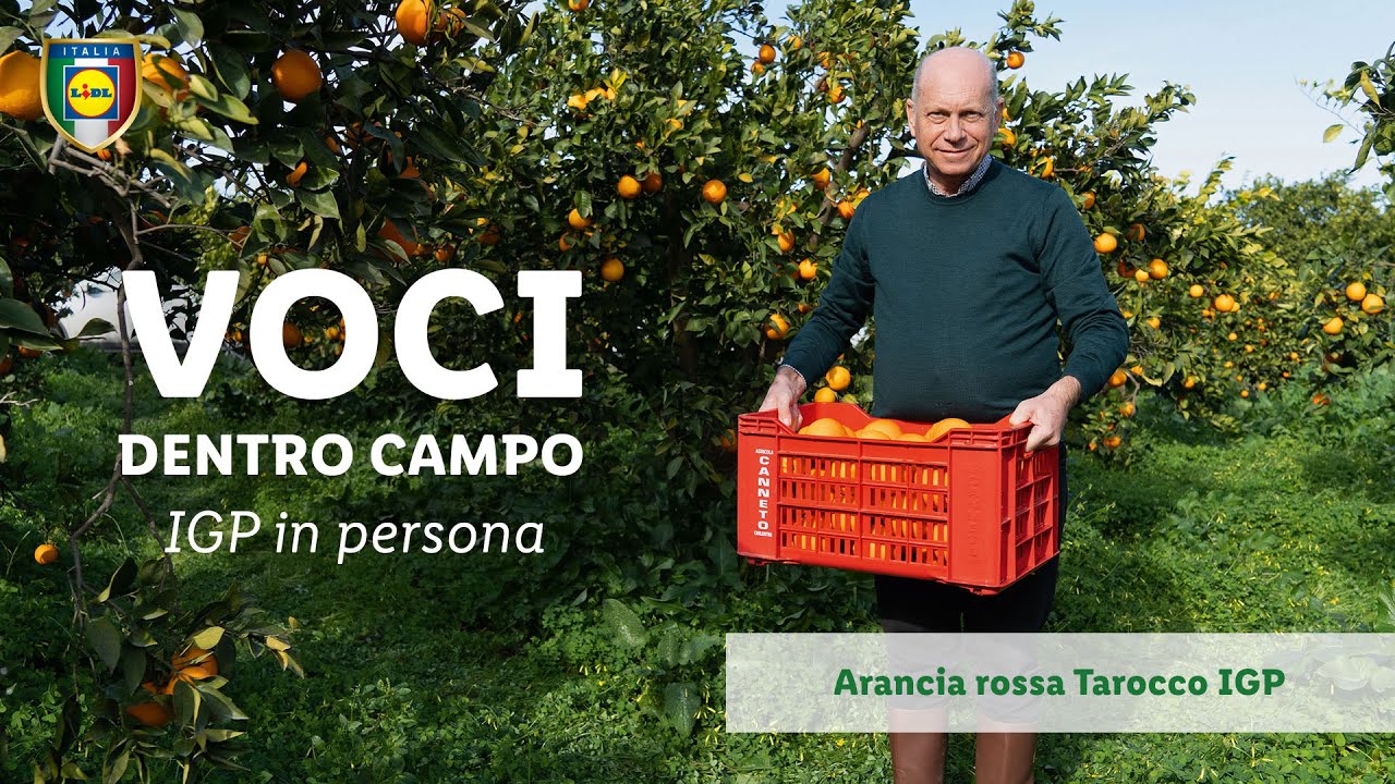 VOCI DENTRO CAMPO: Arancia rossa Tarocco IGP | Lidl Italia