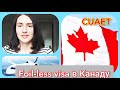 Foil-less виза в Канаду. Виза по CUAET для украинцев. ArriveCan. Иммиграция в Канаду