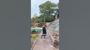 The history of walled gardens