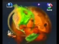 أفلام وثائقية هذا خلق الله المريخ 