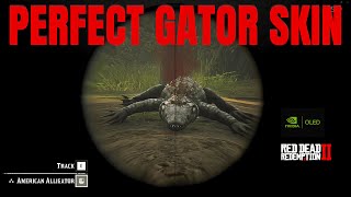 RDR2 - HOW TO SKIN PERFECT AMERICAN ALLIGATOR 🐊 ⭐⭐⭐