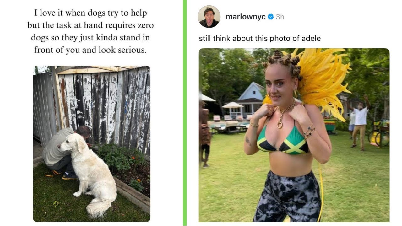 Funny Memes 60 | Still think about this photo of Adele