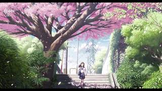 Kaka Official~Lost in Reflections 🌿 Relaxing Lofi Beats ★10