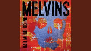 Melvins - Never Say You're Sorry