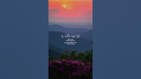 من اروع تلاوات الخشوع❤️🎧😩