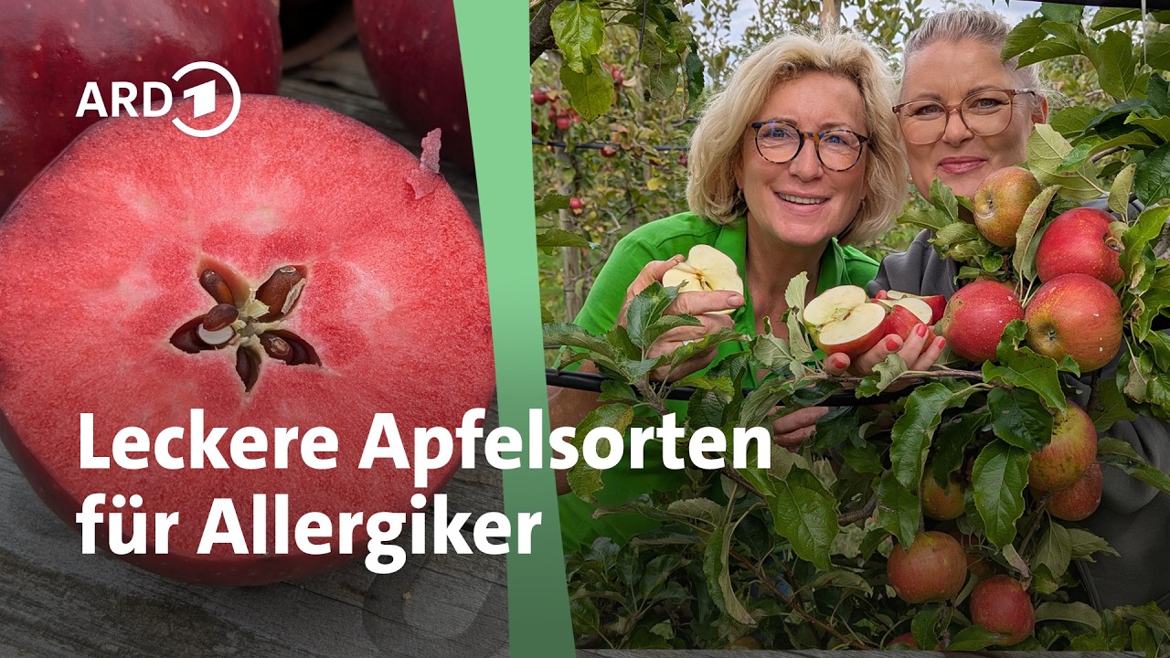 Diese Äpfel können auch Allergiker essen | MDR Garten