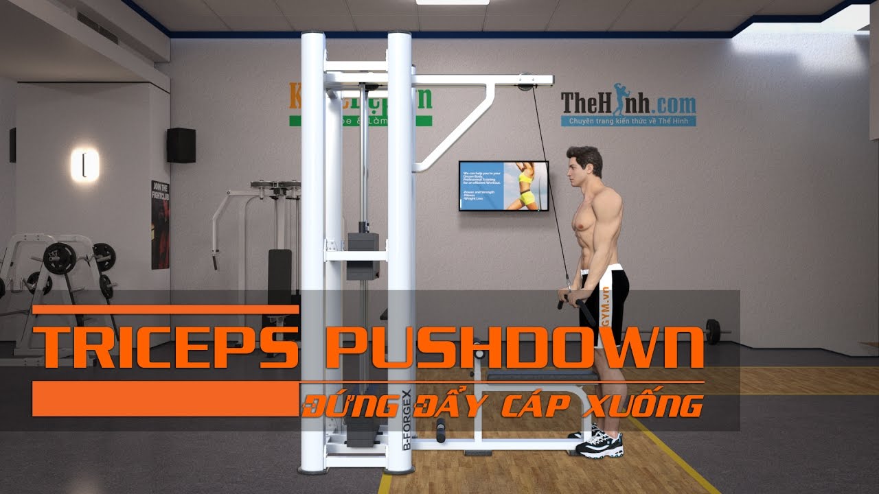 Bài tập tay sau | #2 Triceps Pushdown giảm mỡ bắp tay sau | KhoeDep.vn ...
