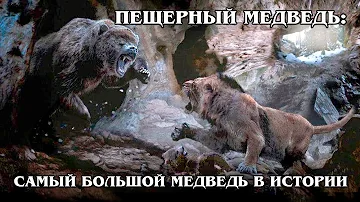 ПЕЩЕРНЫЙ МЕДВЕДЬ: Доисторический гигант был травоядным? Интересные факты про вымершие виды животных