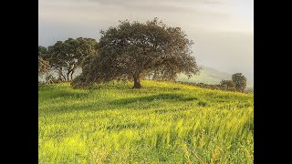 YouTube video LBi404EOwRg