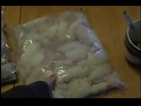 reptile care app Rodent Pro: Our Largest Shipment Yet!