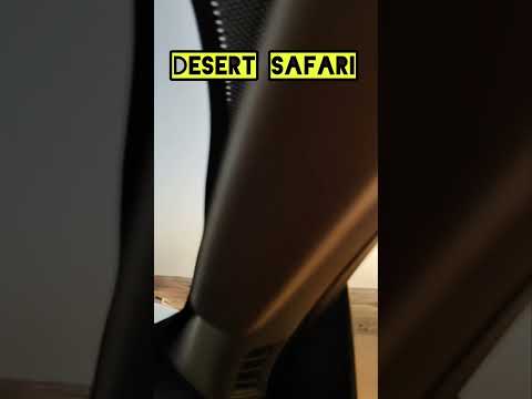 Desert Safari | Dubai Part 3 #dubai #desert #safari #desertsafari #dubailife #dubaiframe #dubaicity