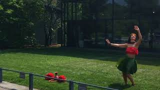 IMG 2545