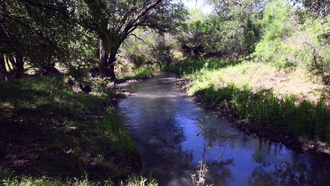 North Turkey Creek Ranch 4,400 Acres Zavala County YouTube