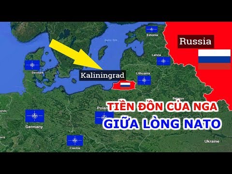 Video: Cum Să Vă Mutați Pentru A Locui în Kaliningrad