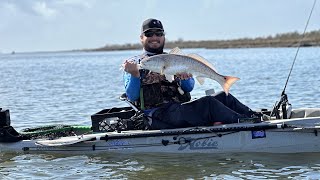 Galveston TX. Crazy Redfish Bite