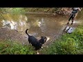 Great VR of Lilly jumping and splashing in the Creek