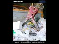 ドライバー求人 ドラEVER【株式会社西商店様】#shorts