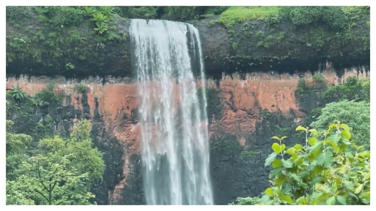 Konkan Diaries.... August 2022