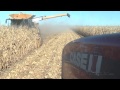 Neighbors Help Injured Farmer with Harvest Near St.Libory