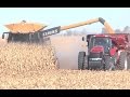 Neighbors Help Injured Farmer with Harvest Near St.Libory