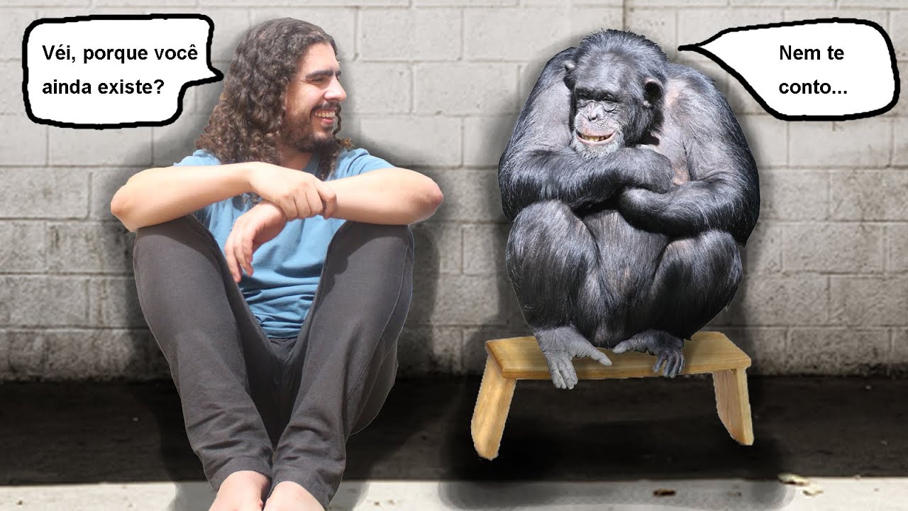 Teoria da Evolução: por que é errado dizer que viemos dos macacos