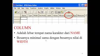 Pengenalan menu data view dan variabel view pada SPSS