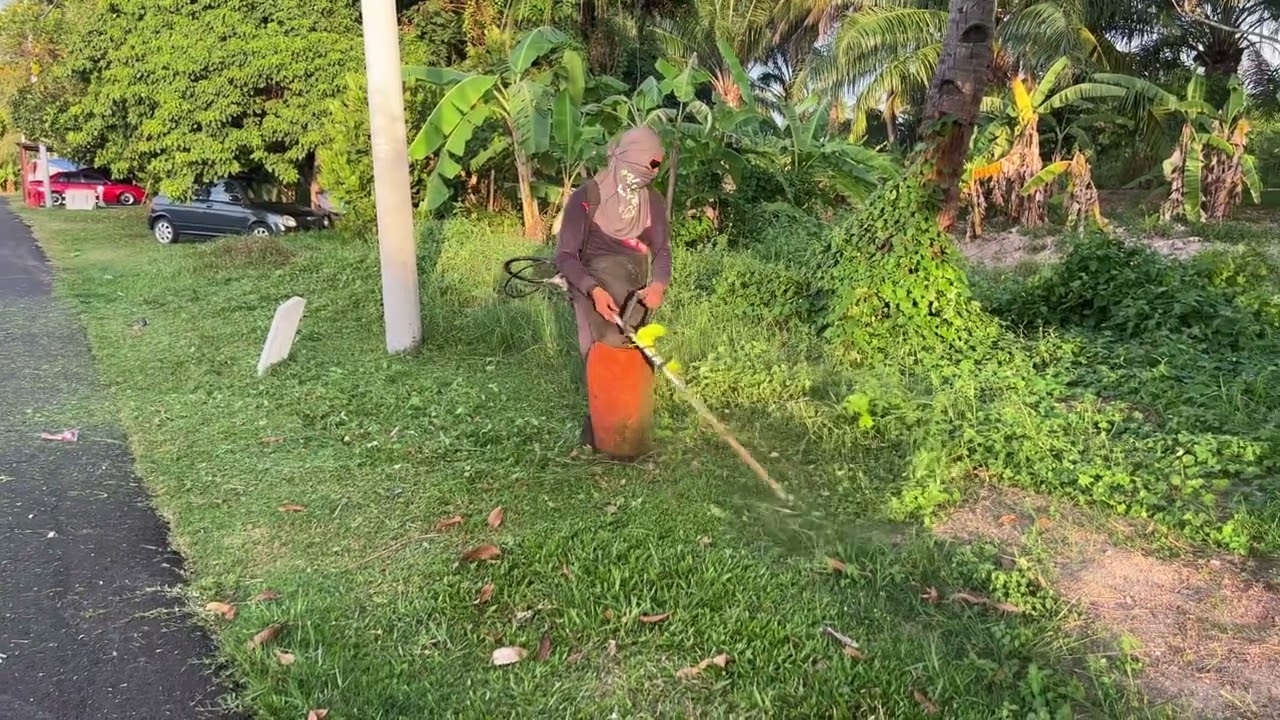 Layan tepi2 jalan.(Tb43 Irino)